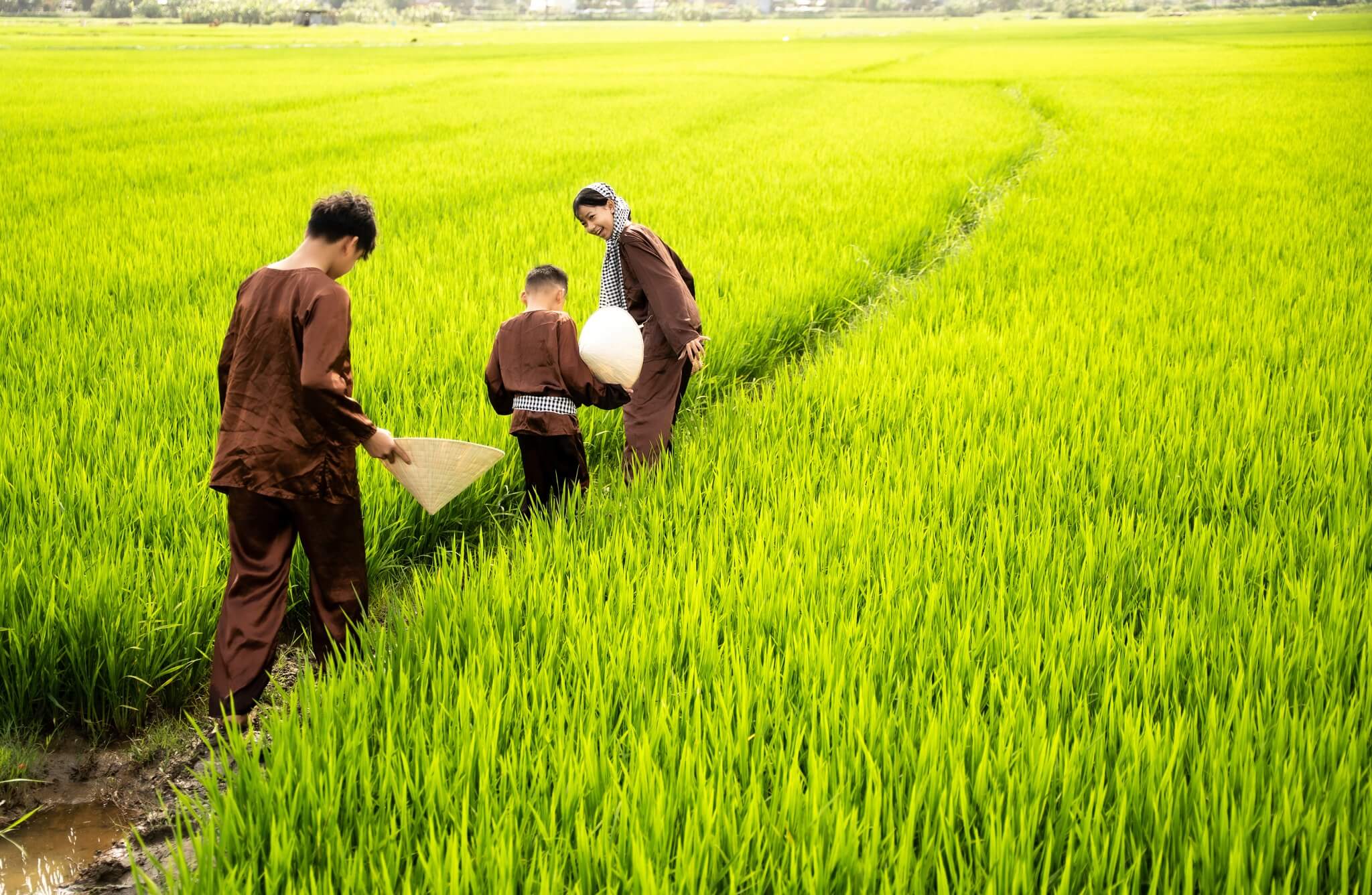 Chăn nuôi