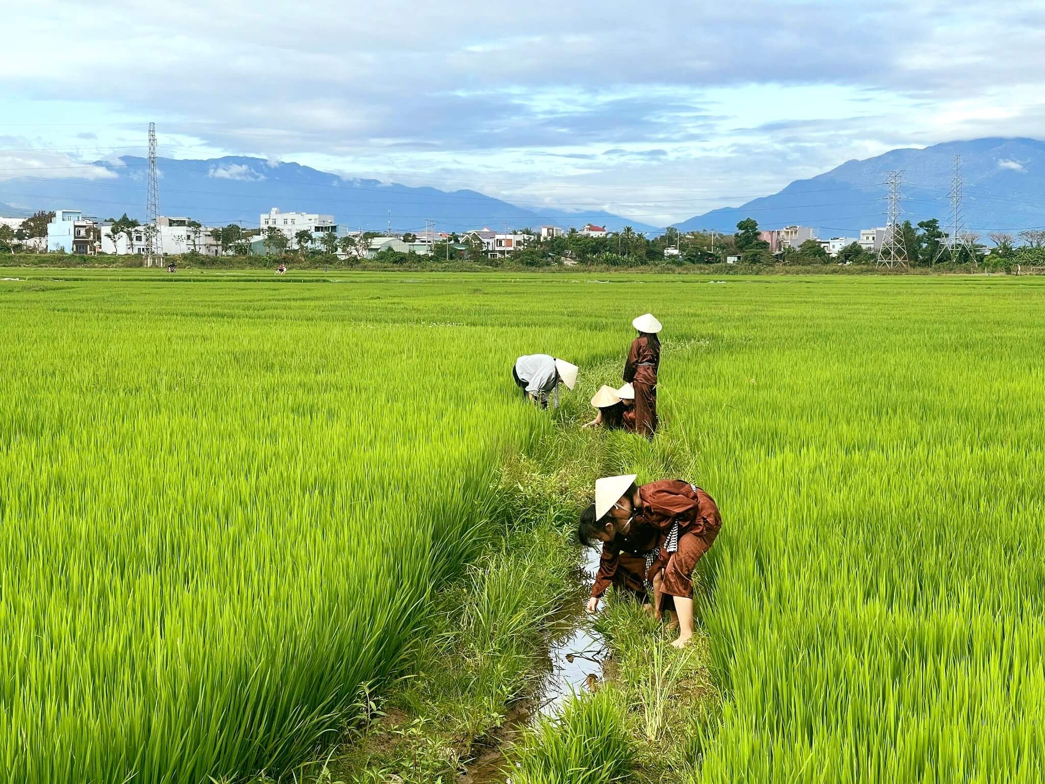 Agriculture