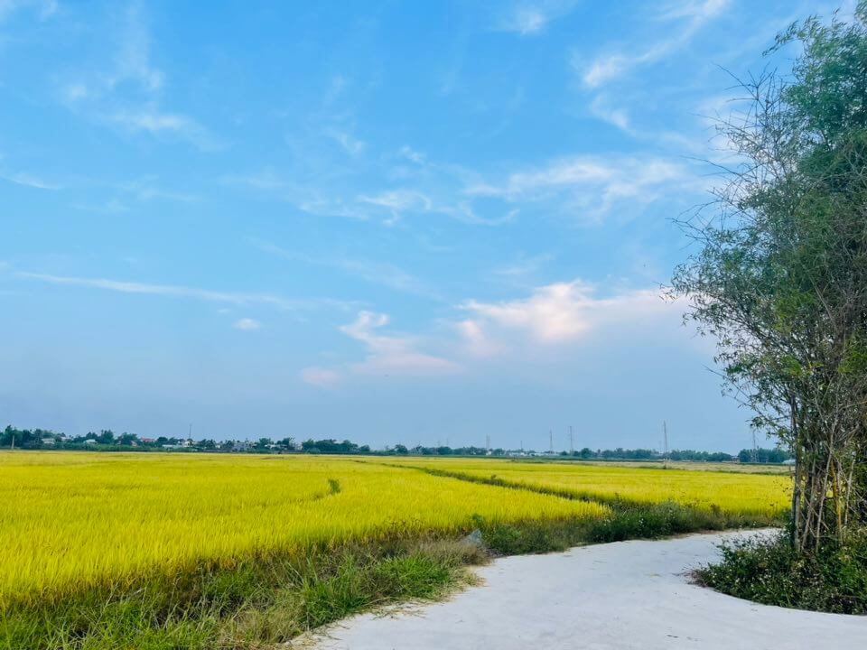 Phong Nam Village 2