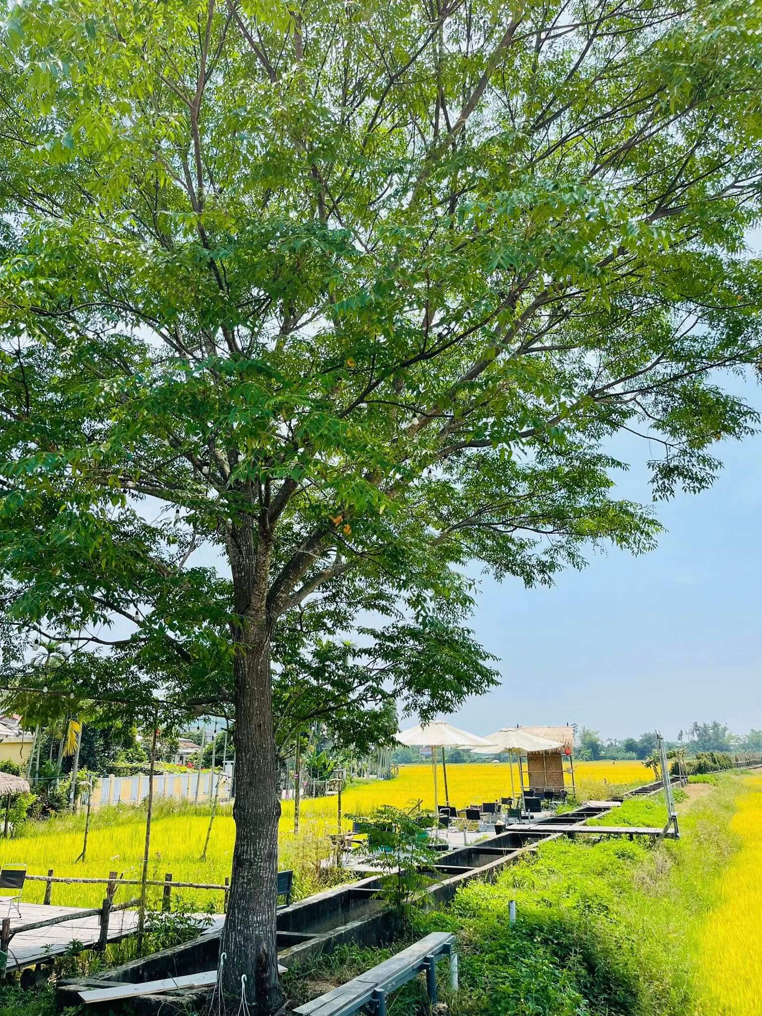 Phong Nam Village 3
