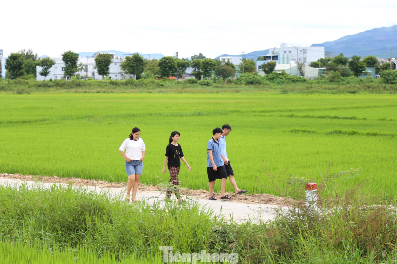 Du khách thích thú trải nghiệm du lịch 'nhà quê' ở Đà Nẵng